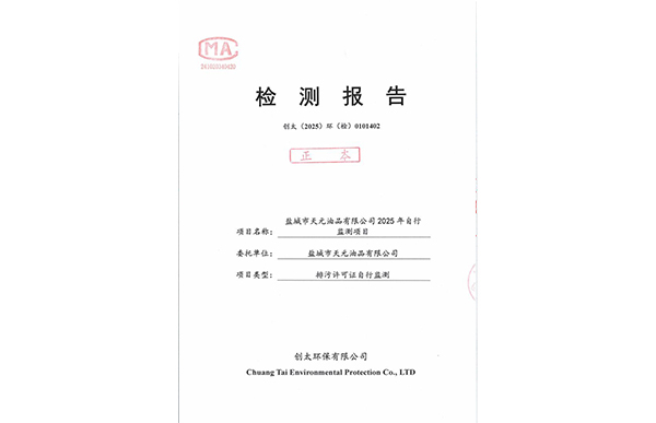 2025�����������м�ⱨ��